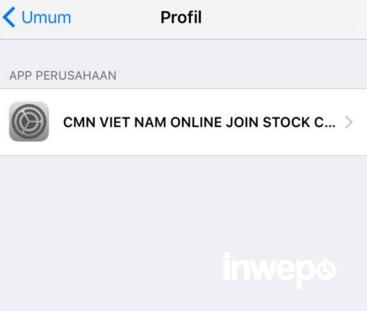 bbm clone ios 9