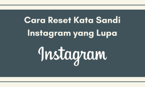 Cara Reset Password Instagram
