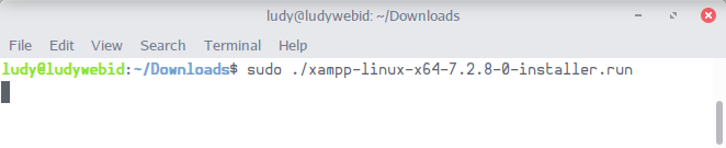 Menjalankan-XAMPP-LudyWebiD