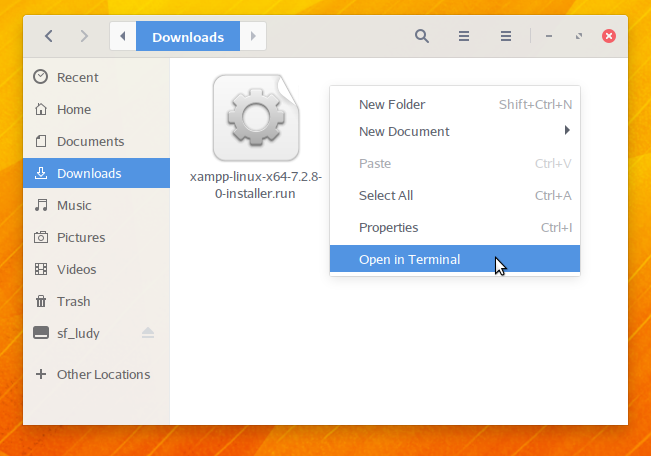 Open-In-Terminal-LudyWebiD
