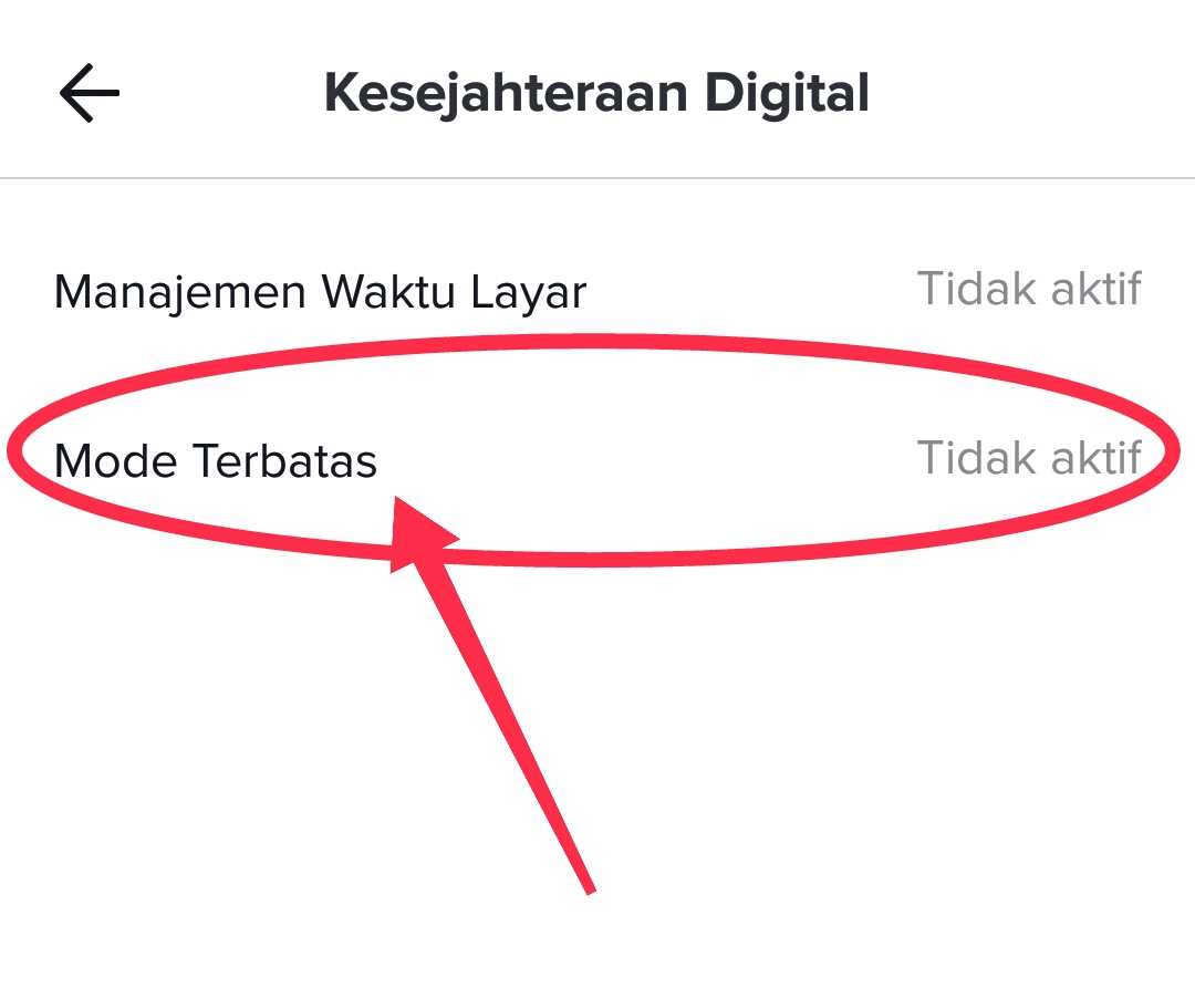 Cara mengaktifkan Mode Terbatas di aplikasi Tiktok