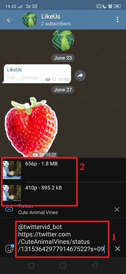 Cara Download Video di Twitter Melalui Telegram