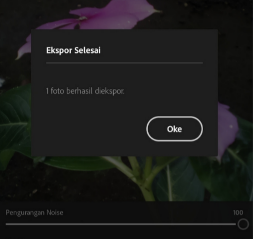 Cara Menghilangkan Noise pada Foto di Android