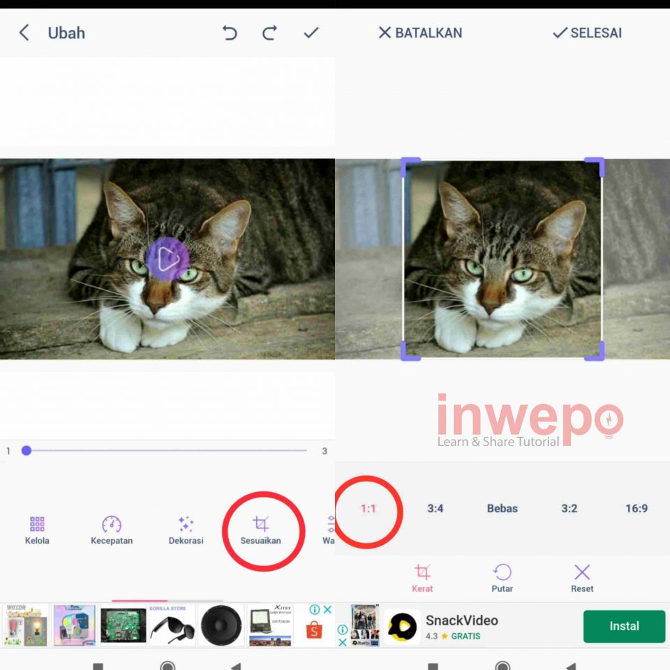 Cara Membuat Profil Animasi di Telegram dari Gambar Biasa