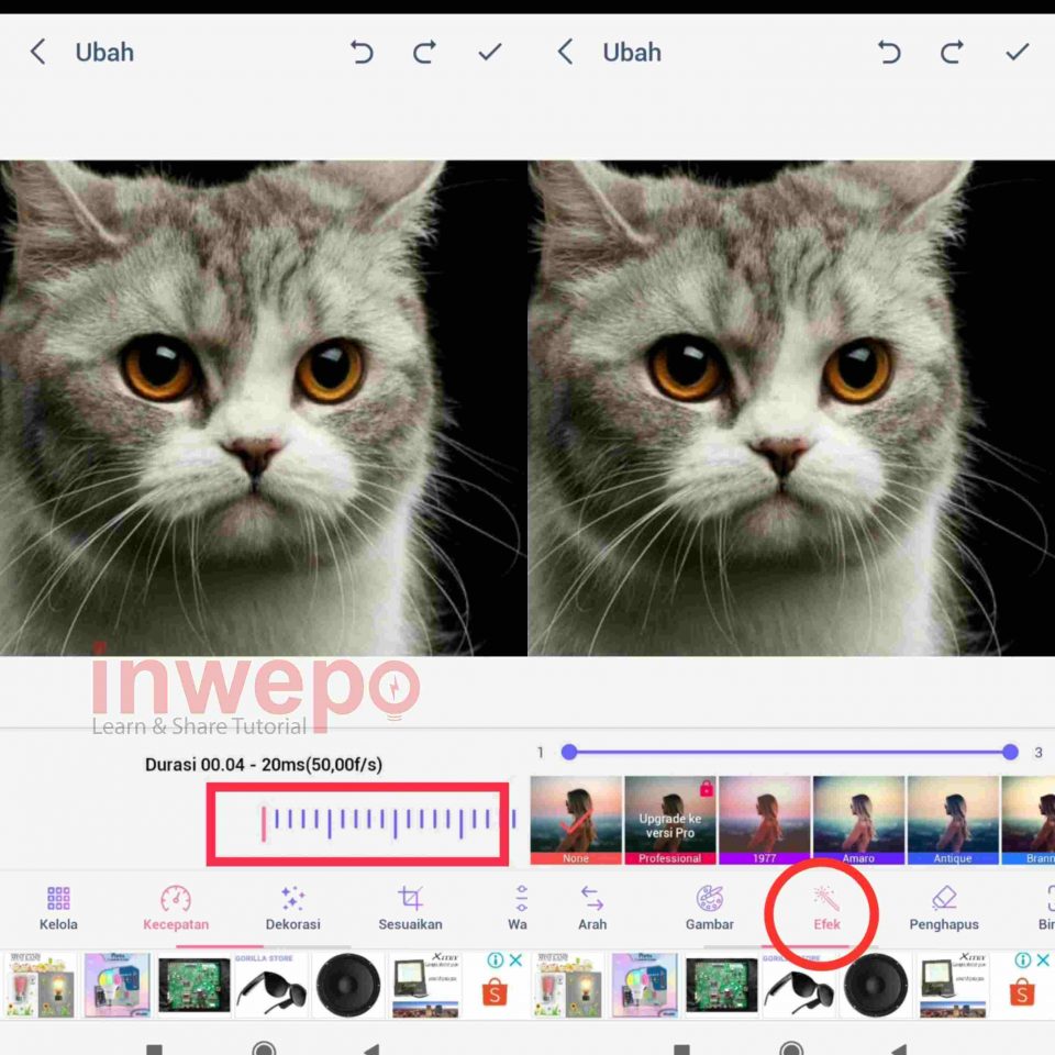 Cara Membuat Profil Animasi di Telegram dari Gambar Biasa