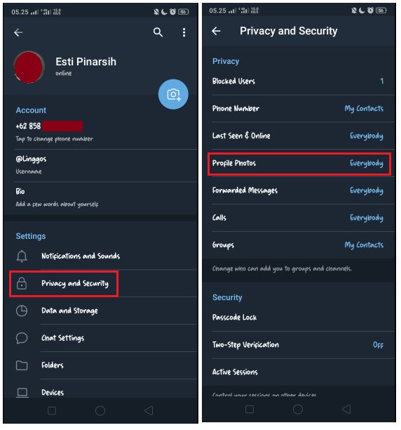 Cara Menyembunyikan Foto Profile di WhatsApp dan Telegram