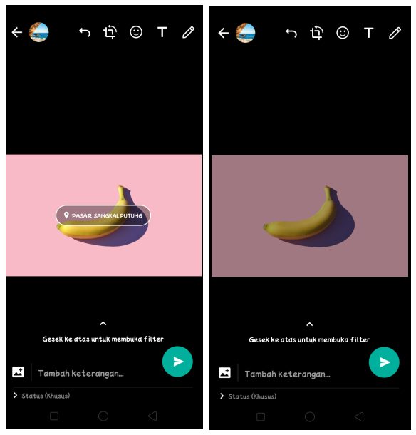 Cara Membuat Status WhatsApp Tidak Bisa di Skip