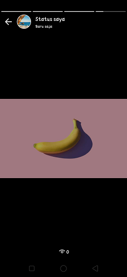 Cara Membuat Status WhatsApp Tidak Bisa di Skip