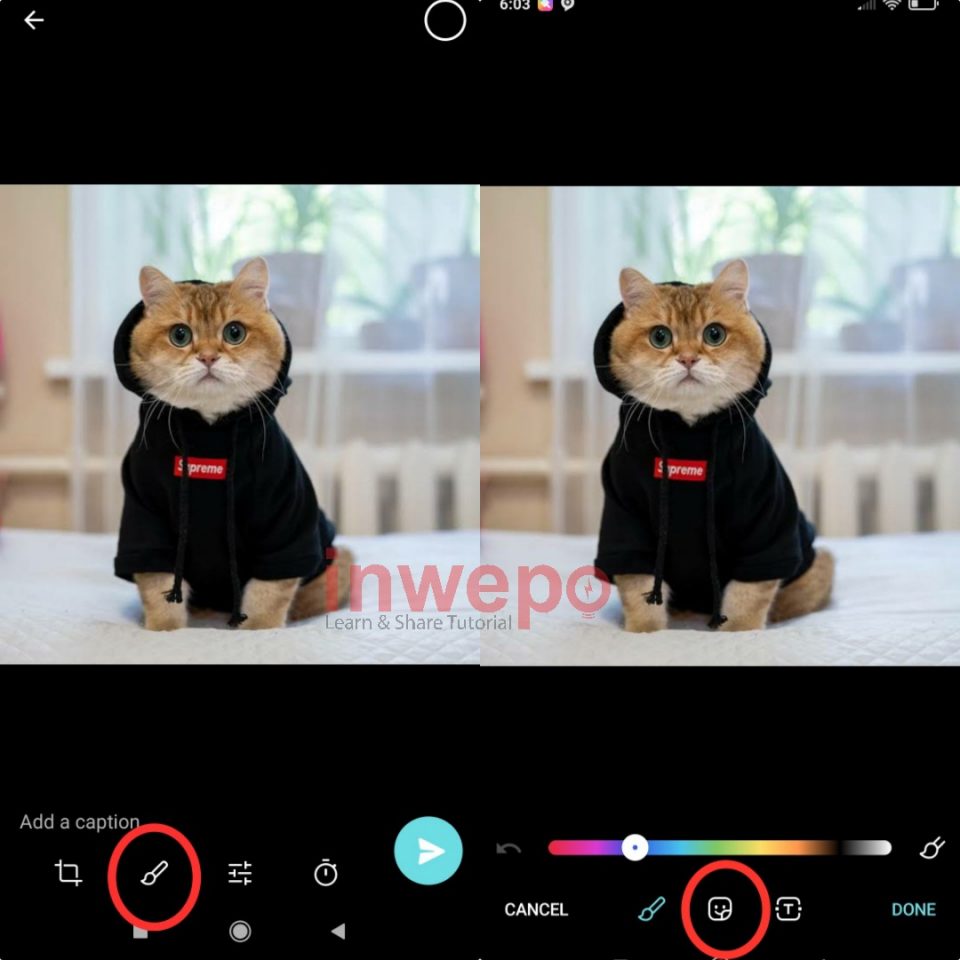 Cara Menggunakan Selfi Mask dan Video Mute Telegram