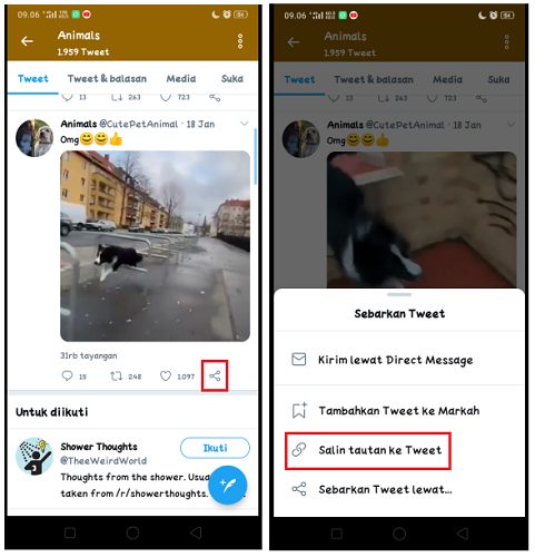 Cara Download Video di Twitter dengan Pilihan Kualitas Video