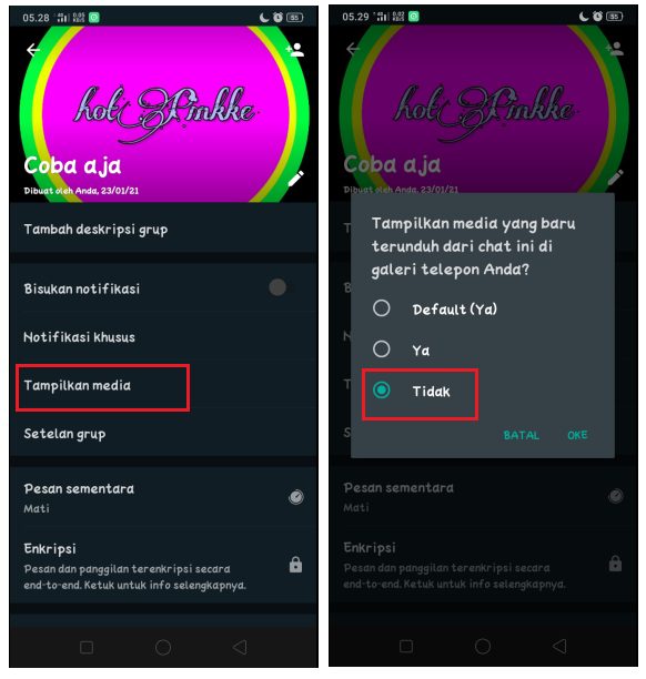 Cara Melihat Kiriman Foto WhatsApp Tanpa Menyimpan ke Galeri