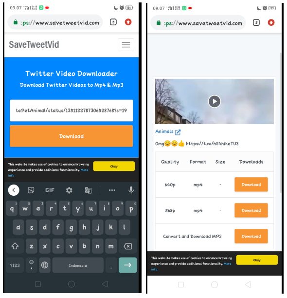 Cara Download Video di Twitter dengan Pilihan Kualitas Video