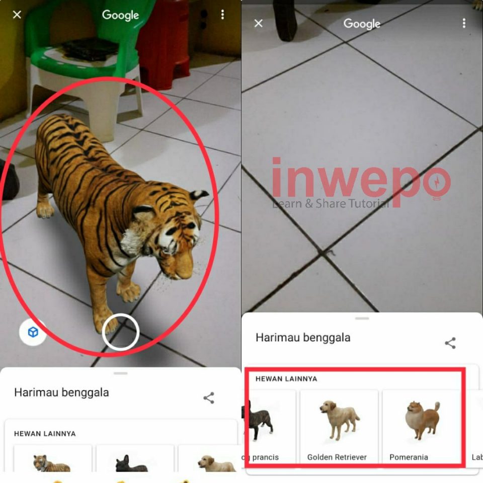 Cara Menampilkan Hewan 3D di Ruangan Rumah