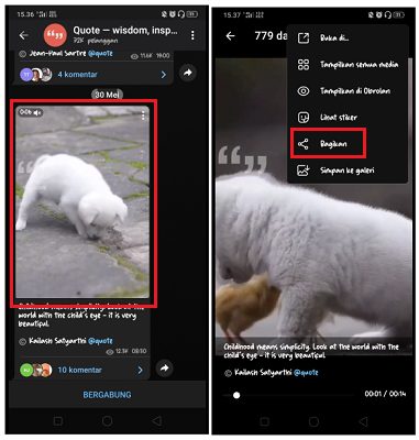 Cara Posting Instagram Story Melalui Aplikasi Telegram