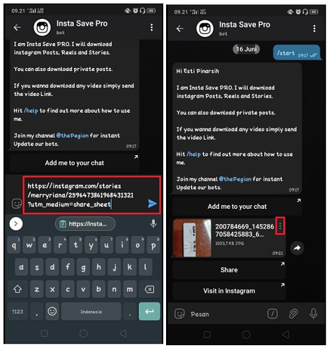 Cara Menyimpan Story Instagram Menggunakan Bot Telegram
