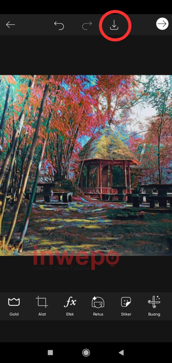 Cara Mengganti Warna Object dalam Foto di PicsArt