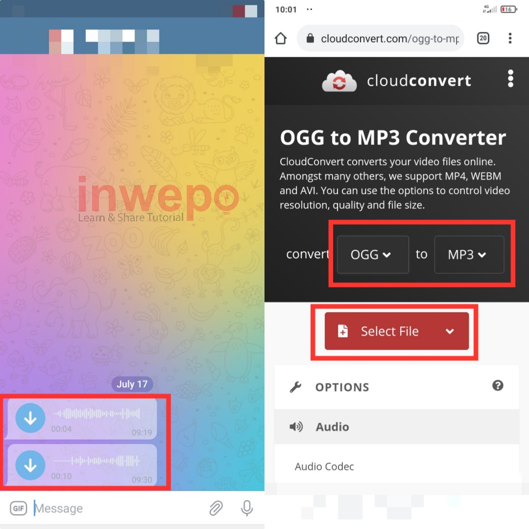Cara Kirim Voice Note Telegram ke WhatsApp