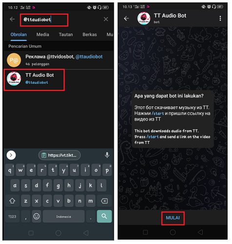 Cara Download Musik Video Tik Tok di Telegram