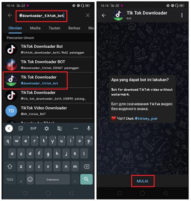 Cara Download Musik Video Tik Tok di Telegram