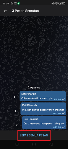 Cara Melihat Semua Pesan Tersemat di Chat Telegram