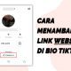 Cara Menambahkan Link Website di Bio TikTok