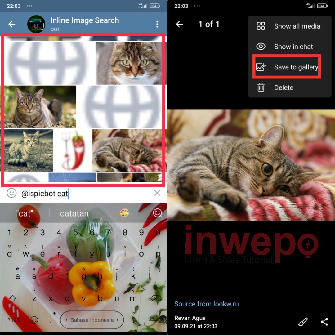 Cara Cepat Cari Gambar Lewat Telegram