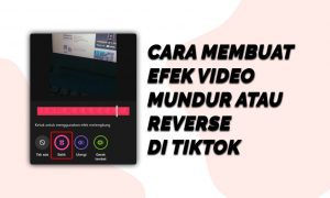 Cara Membuat Efek Video Mundur atau Reverse di Tiktok
