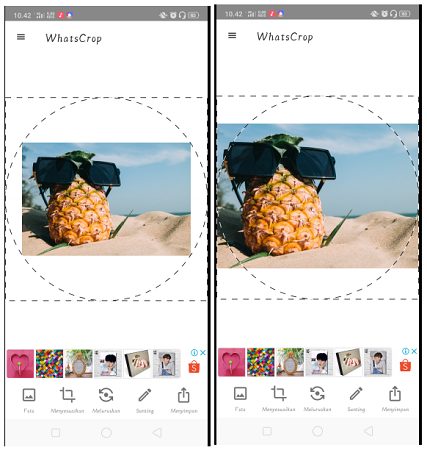 Cara Menampilkan Foto Profil WhatsApp Tanpa Terpotong 2