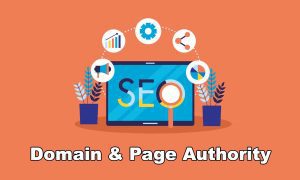 Cara Mengetahui Nilai Domain Authority dan Page Authority