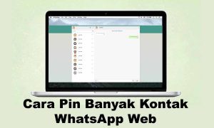 Cara Pin Banyak Kontak di WhatsApp Web