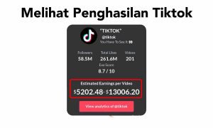Cara Melihat Prediksi Penghasilan Akun TikTok