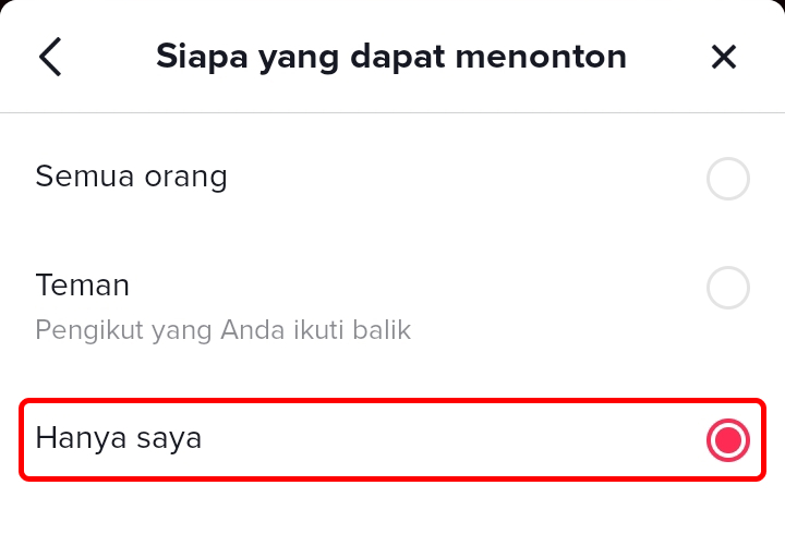 Cara Menyembunyikan atau Private Video di TikTok