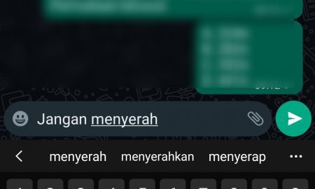 Ketikan teks di kolom chat whatsapp
