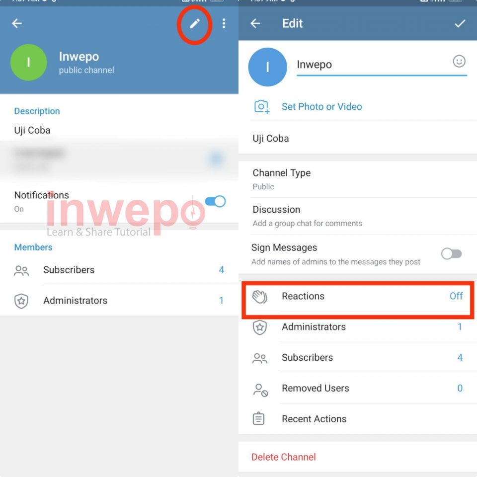 Cara Menggunakan Quick Reaction di Grup dan Channel Telegram