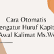 Cara Otomatis Mengatur Huruf Kapital di Awal Kalimat Ms Word