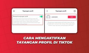 Cara Mengaktifkan Tayangan Profil Di Tiktok