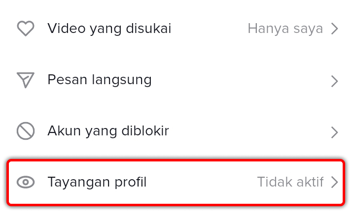 Cara Mengaktifkan Tayangan Profil Di Tiktok