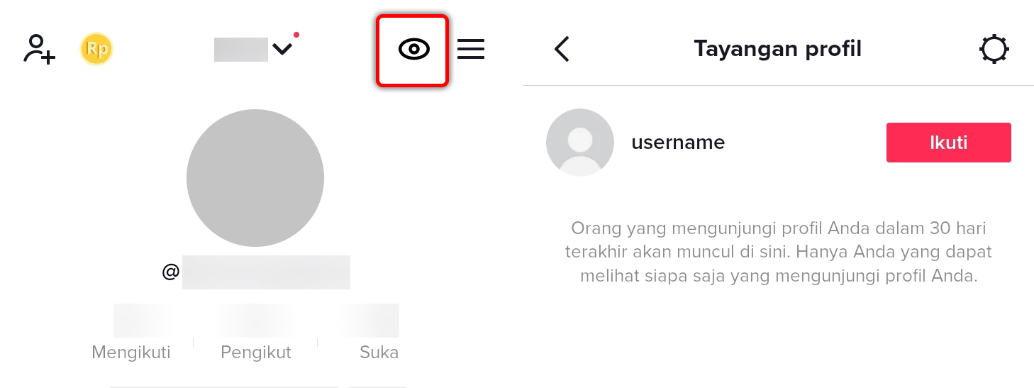 Cara Mengaktifkan Tayangan Profil Di Tiktok