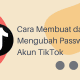 Cara Mengganti Password di Akun TikTok