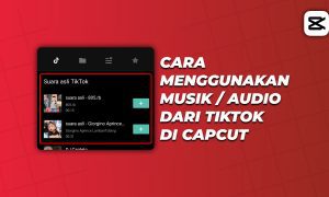 Cara Menggunakan Musik / Audio dari Tiktok di Capcut