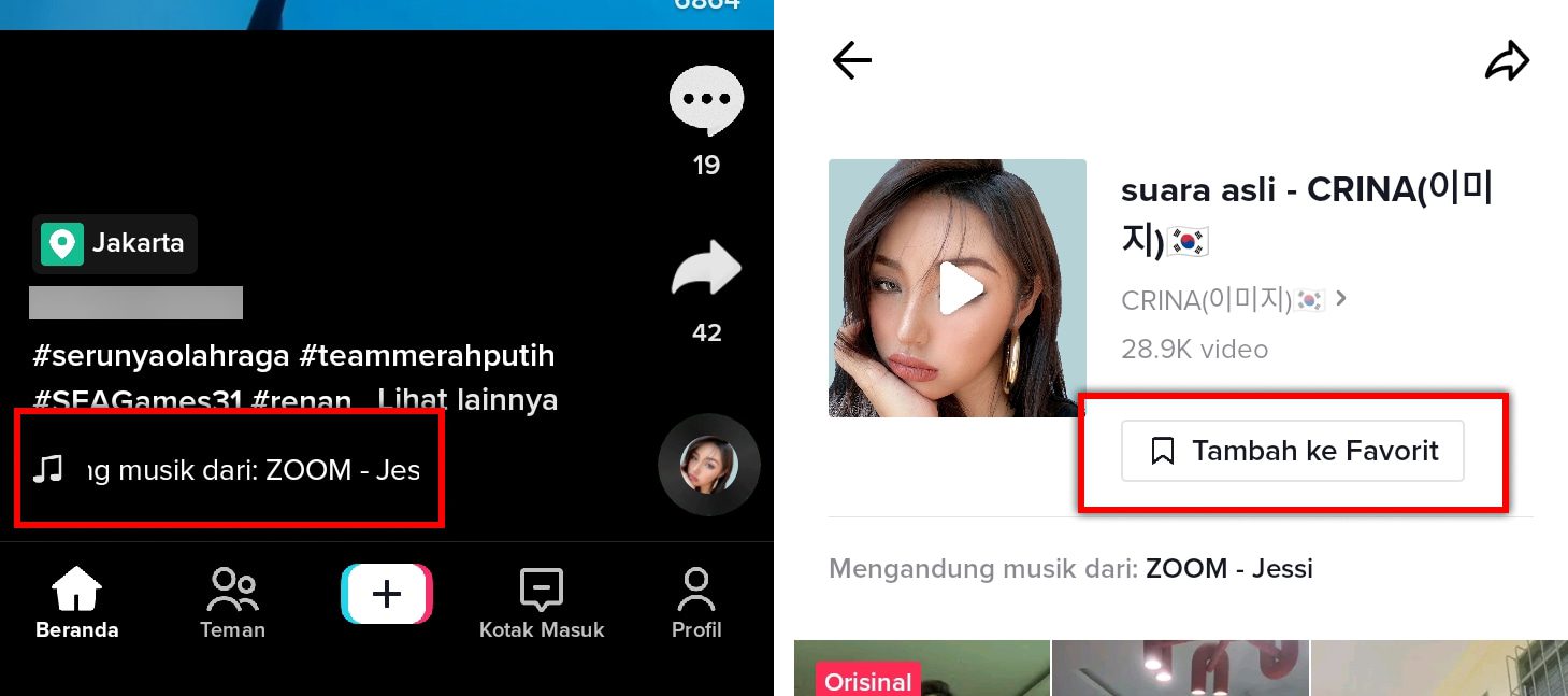 Cara Menggunakan Musik/Audio dari Tiktok di Capcut
